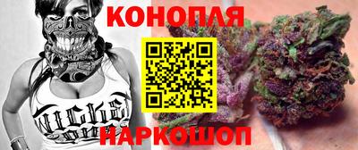 шишки Шахты