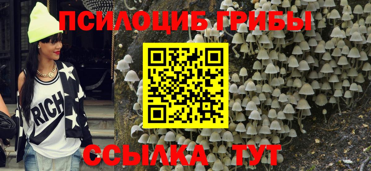 Галлюциногенные грибы Magic Shrooms Братск